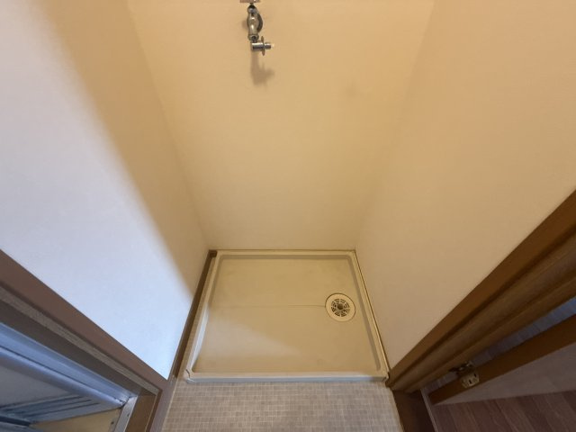 グローバルのその他