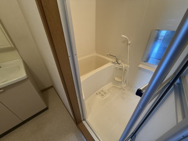 グローバルの浴室