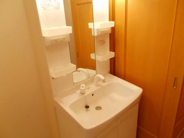 エリタージュＡの洗面所