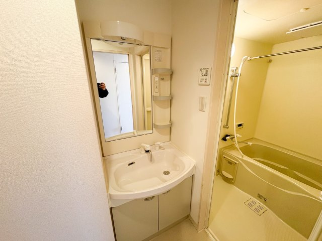 シーガルマンションⅡの洗面所