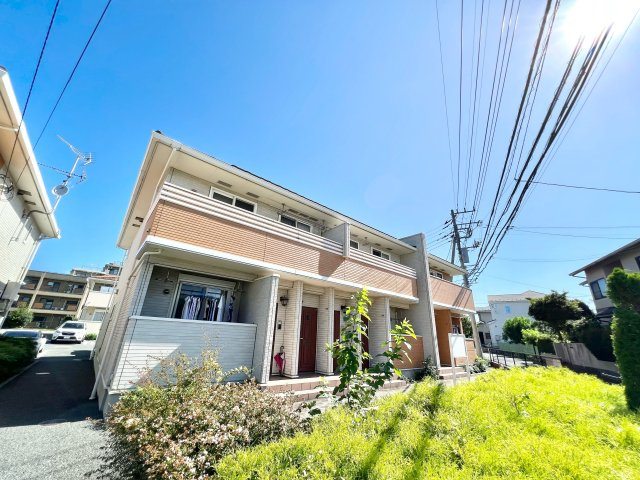 プラシード ツバサ