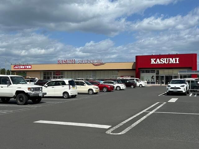 ひたちなか市大字長砂の売地の周辺|ショッピング施設