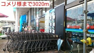 【周辺】 | チェリークイーン | コメリ様まで3020m
