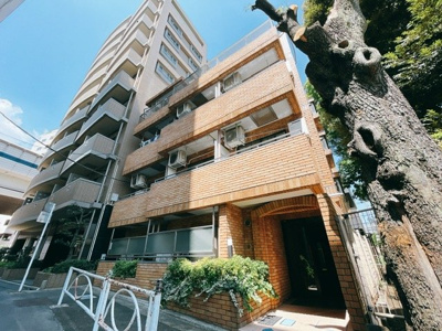 【外観】 | ファイン上馬