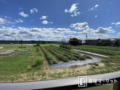 【展望】 | コンフォート井上