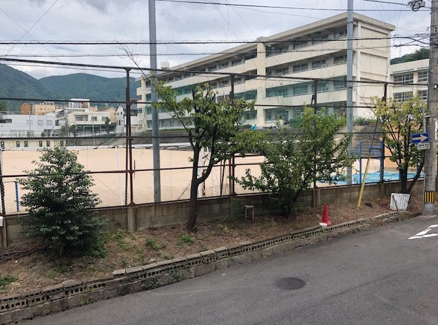 サクラパレスの周辺