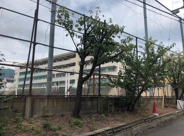 サクラパレスの展望