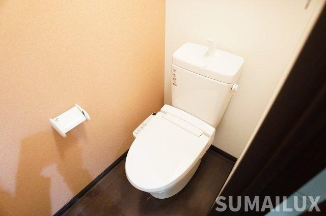 熊本市中央区新大江１丁目の賃貸マンションのトイレ
