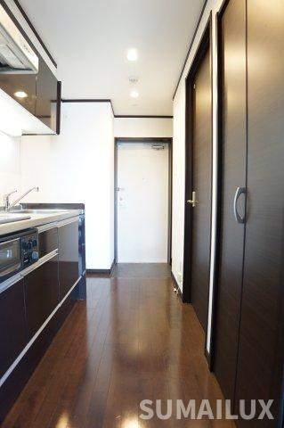 熊本市中央区新大江１丁目の賃貸マンションの玄関
