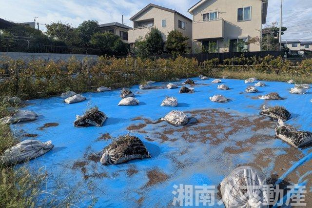 藤沢市鵠沼桜が岡１丁目２３７０－１３売地の周辺|外観です
