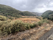 鳥取市青谷町長和瀬土地の画像