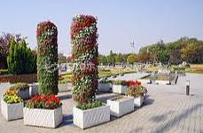 Spl endi de NAMBAⅠⅠⅠの周辺