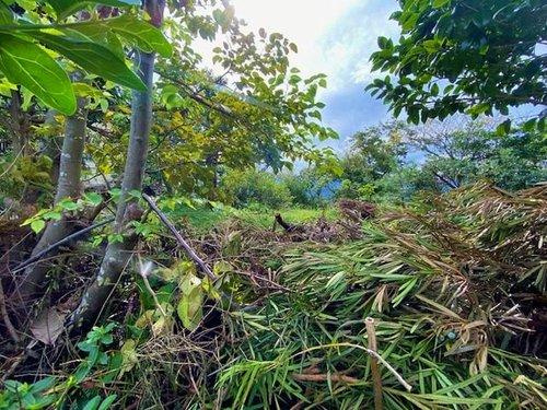 【その他】 | 富士急川奈　売地