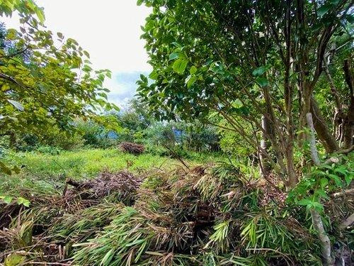 【その他】 | 富士急川奈　売地