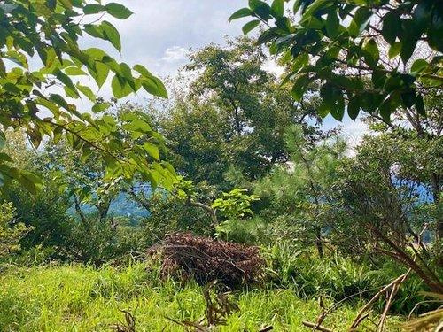 【その他】 | 富士急川奈　売地