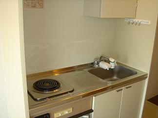 ガーデンシティー21のキッチン