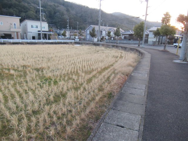 津山市大谷　売地　658坪の外観