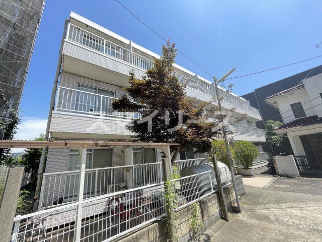 サンライズ柏