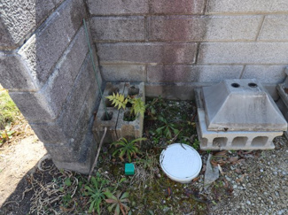 【その他】 | 豊田市市木町谷耳太土地2区画 | 下水引込（②号地内）