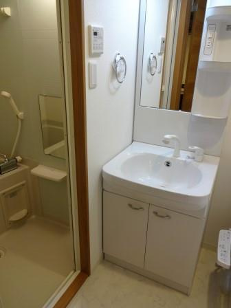 LUMEED飯田橋の洗面所