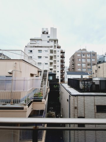 コーラルガーデンの展望