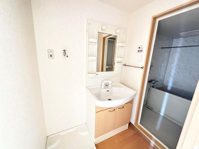 フォレストヴィラの洗面所|シャンプードレッサー