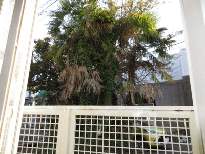 【展望】 | Kハウス