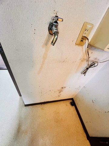 ピュアハイツB棟の設備|洗濯機置き場です。