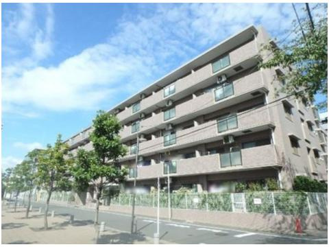 ヴェラハイツ緑道公園　2階　リ　フォーム済　大島3丁目の外観