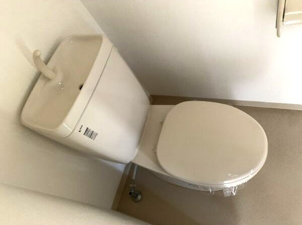 ロハスのトイレ