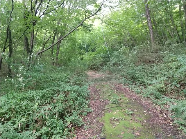 那須塩原市越堀