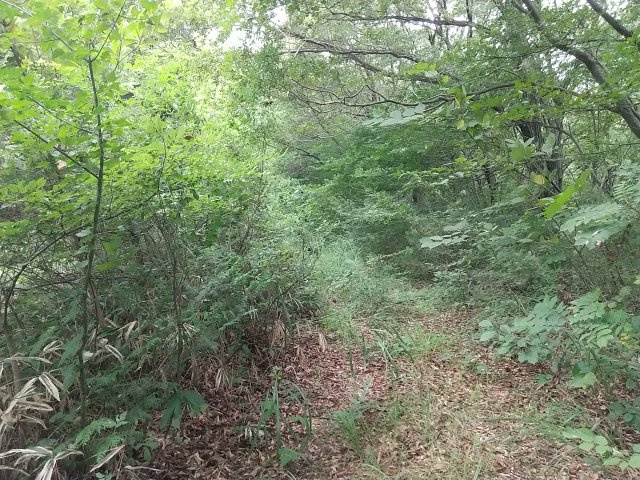 那須塩原市越堀の外観