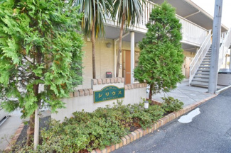 【周辺】 | シリウス