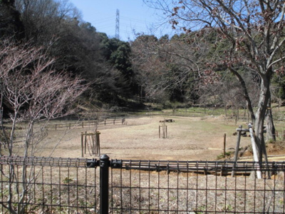 【周辺】 | 柚子季3(ユズキスリー)