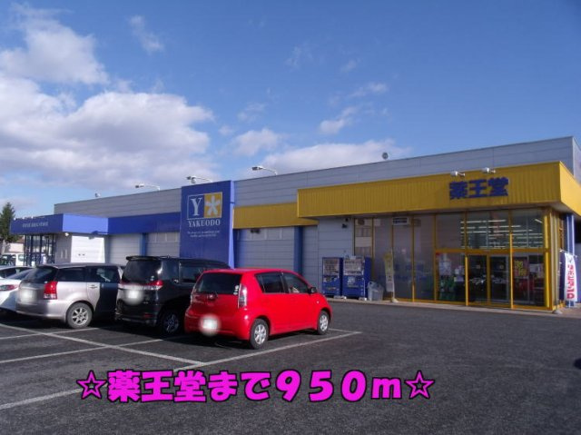 ソレイユの周辺|薬王堂まで950m