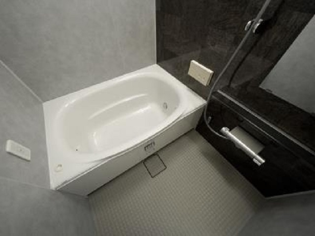 中央区佃２丁目の賃貸マンションの浴室