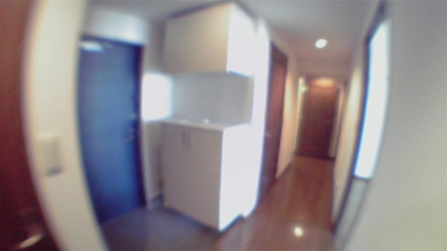 中央区佃２丁目の賃貸マンションの玄関