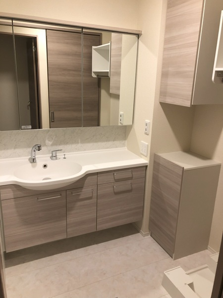 ディーシャンブル南丸之内B棟の独立洗面台