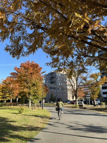 ソライエシティザ・ガーデンの周辺