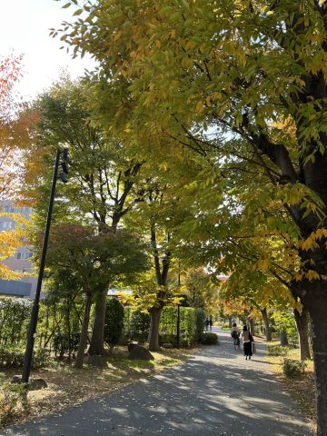 ソライエシティザ・ガーデンの周辺