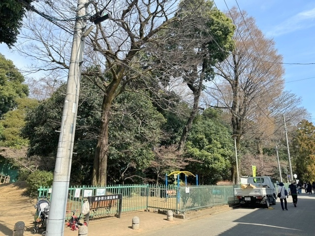 アオイ　マーレのその他|喜多院公園