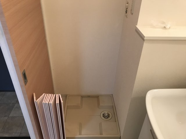 ラフィーネ・Ｓのその他