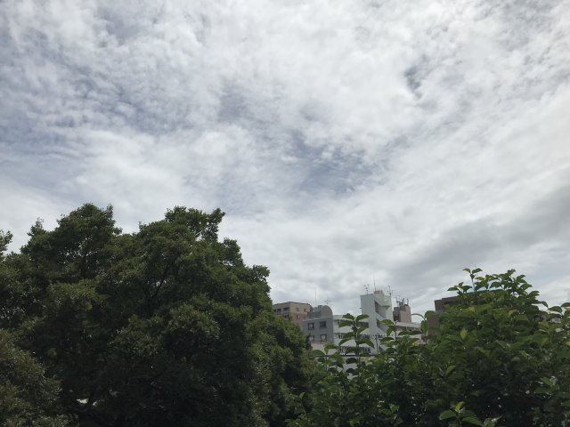 ラフィーネ・Ｓの展望