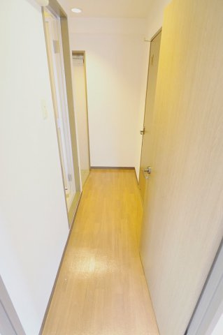 ハーシオンフルタⅡのその他