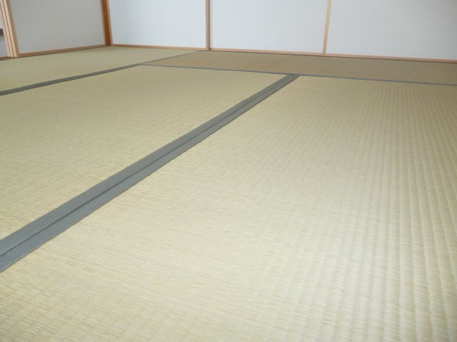 グリーンヒルズ東舞子１ＤＫの内装|明るい色調の室内です