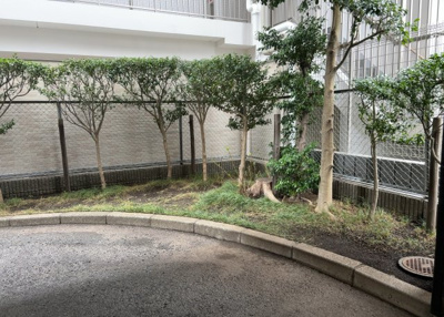 【中庭】 | グラン・ドムール南橋本 | 中庭（パティオ）とは、一つの建築物の内部に設けられた、壁などで囲われている庭のことを指します。コの字型、ロの字型が主流ですが、L字型の中庭もあります。最近では、インテリア性の高さからも人気があります。