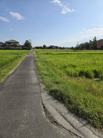 羽島市竹鼻町飯柄　資材置場、駐車場用地の外観