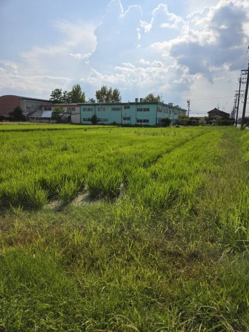 羽島市竹鼻町飯柄　資材置場、駐車場用地の外観