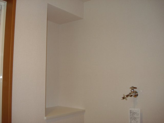 アクアマリンのその他|脱衣所収納