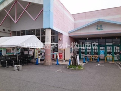 【周辺】 | カーサ・アルカンシエルＡ | マルナカ清住店様まで450m